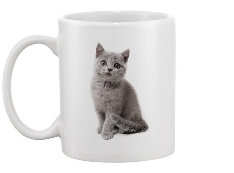 British Blue Cat Sitting Mug -Image by Shutterstock