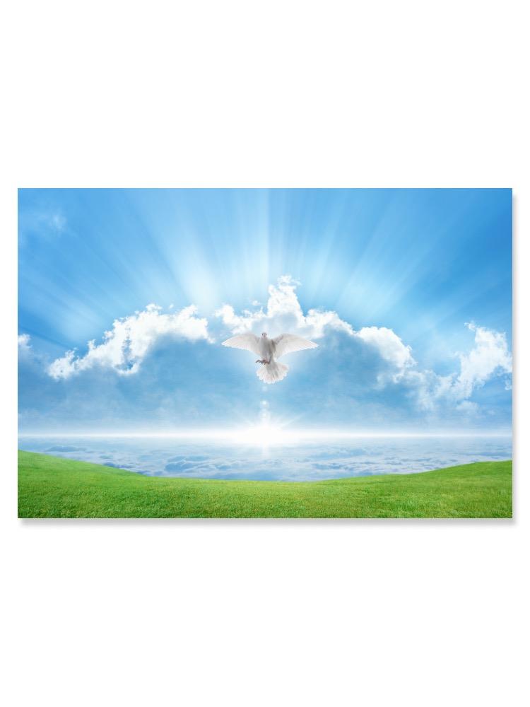White Dove Flying Over Light Poster -Image by Shutterstock