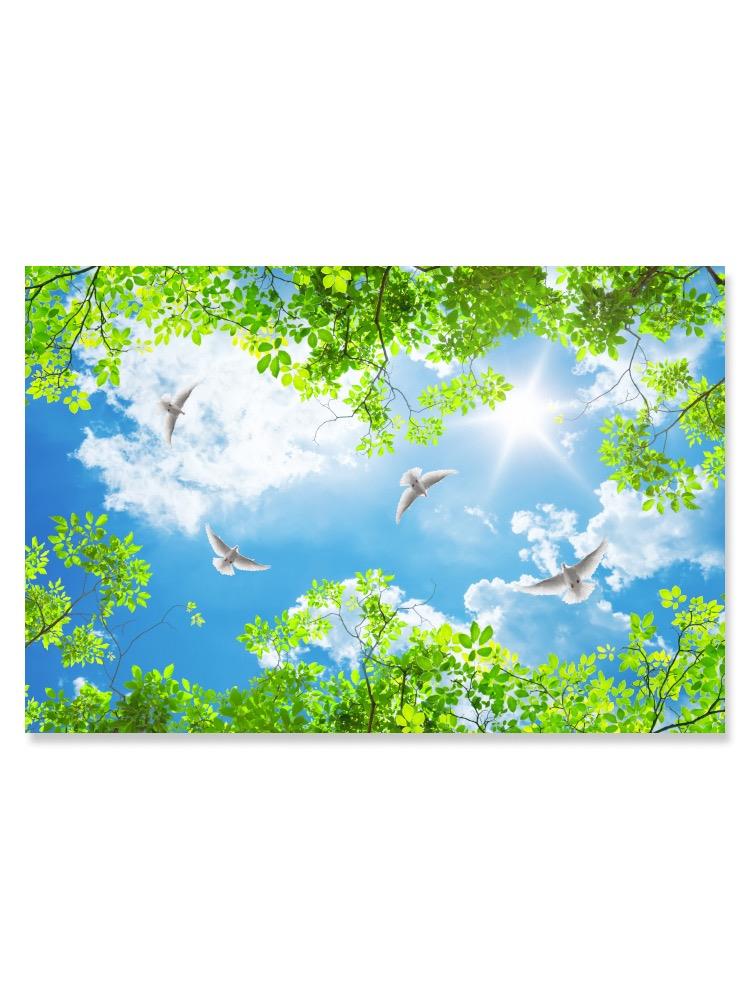 Dove Flying Over Sunny Day Poster -Image by Shutterstock