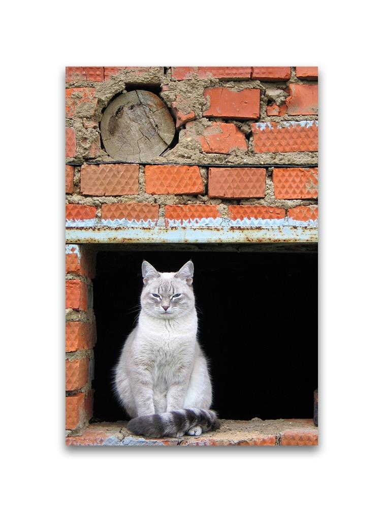 Adorable Urban Cat Resting Poster -Image by Shutterstock