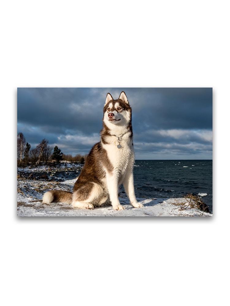 Siberian Husky Winter Landscape Poster -Image by Shutterstock