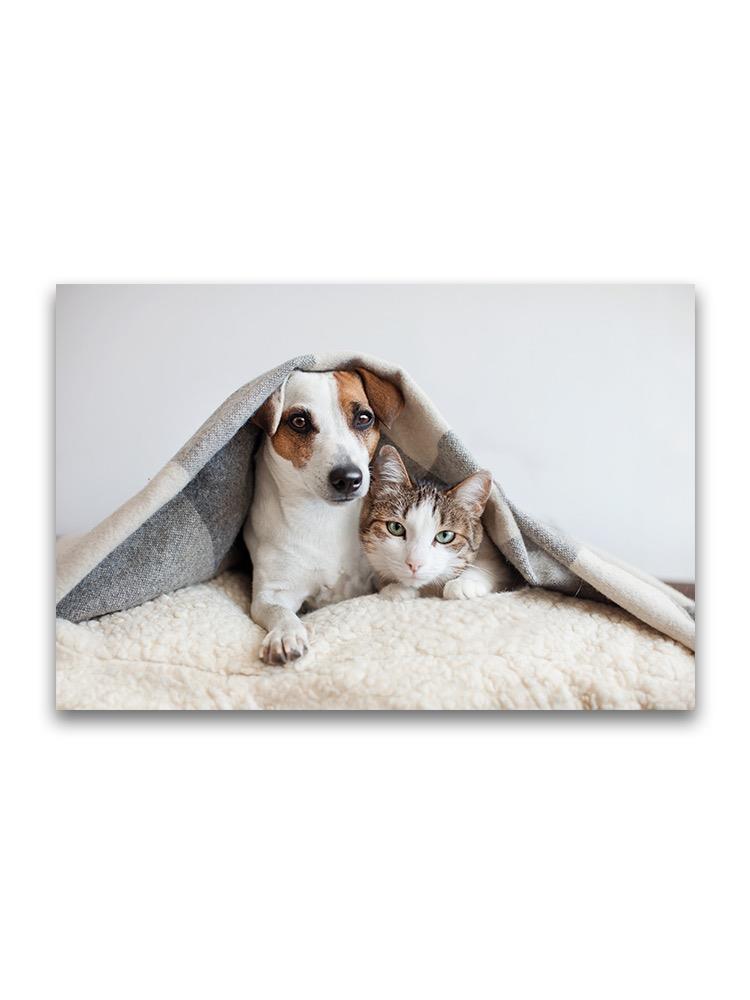 Cuddling Pets Under Blanket Poster -Image by Shutterstock