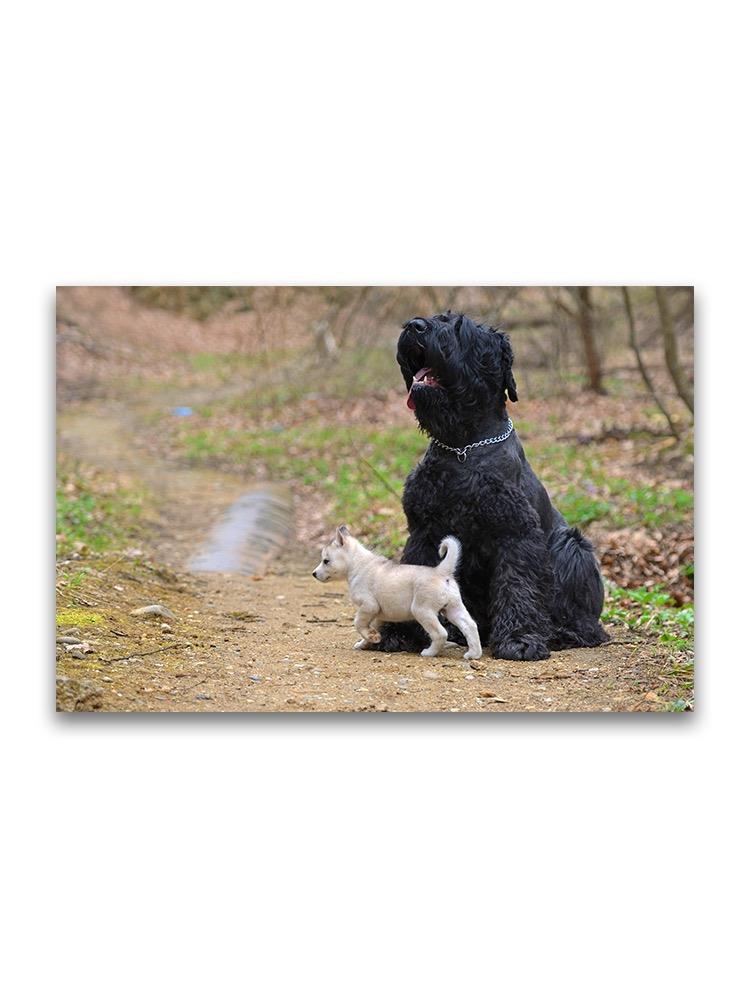 Russian Terrier And Tiny Husky Poster -Image by Shutterstock