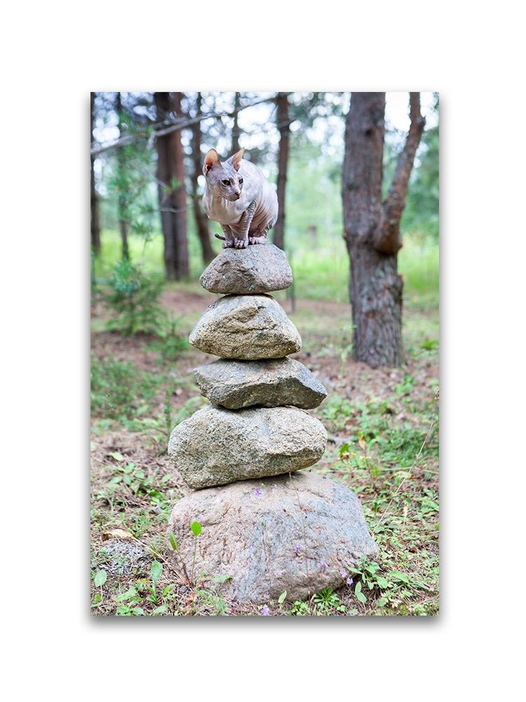 Sphynx Cat Over Balanced Rocks Poster -Image by Shutterstock