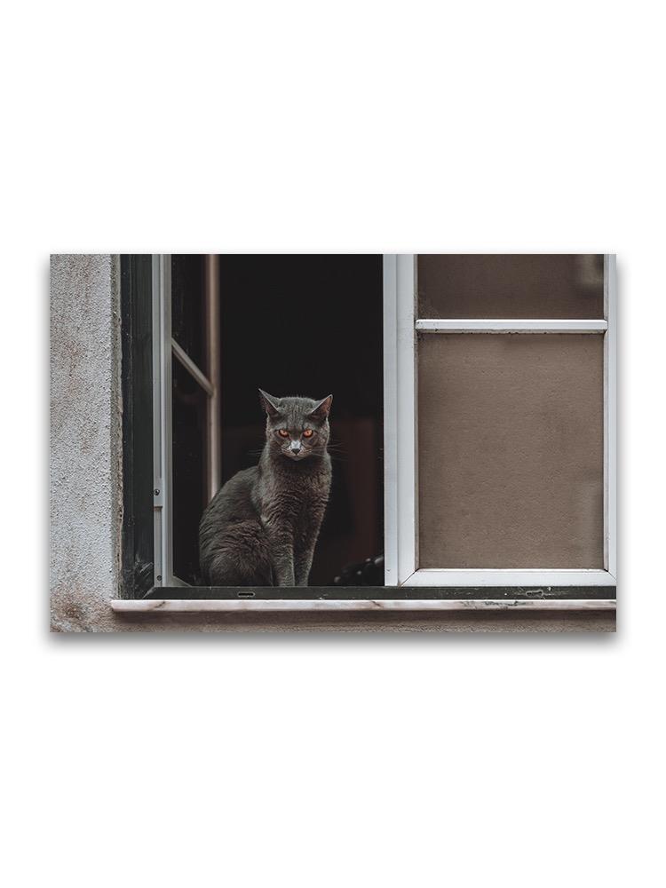 Beautiful Cat Sitting On Window  Poster -Image by Shutterstock