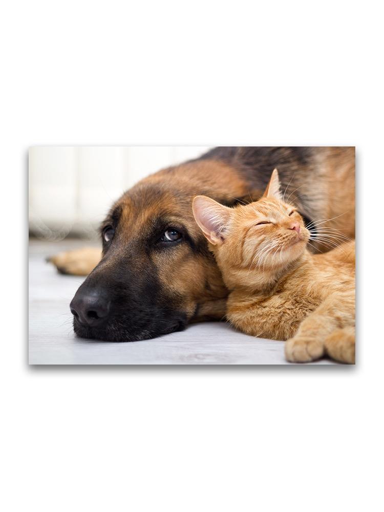 Dog And Cat, Pet Buddies Poster -Image by Shutterstock