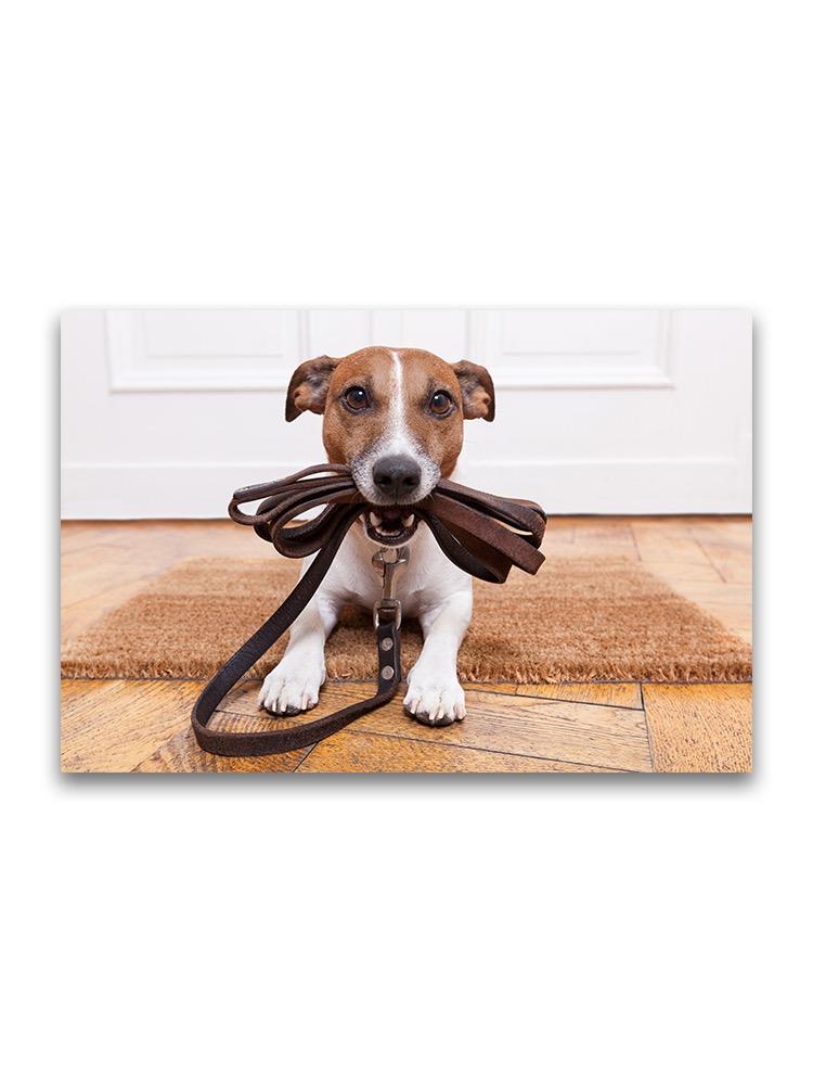 Cute Dog Holding Its Leash Poster -Image by Shutterstock