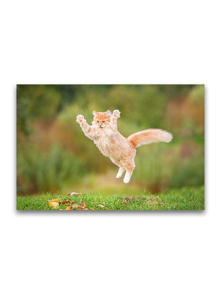 Beautiful Ginger Flying Cat Poster -Image by Shutterstock