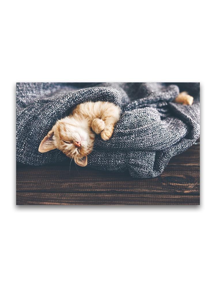 Adorable Ginger Kitty Sleeping Poster -Image by Shutterstock