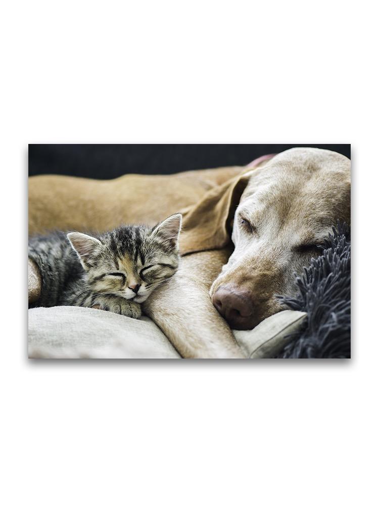 Adorable Pet Friends  Poster -Image by Shutterstock