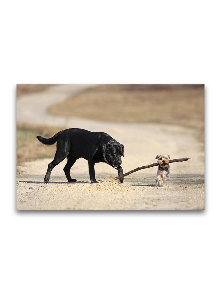 Yorkshire And Labrador Playing Poster -Image by Shutterstock