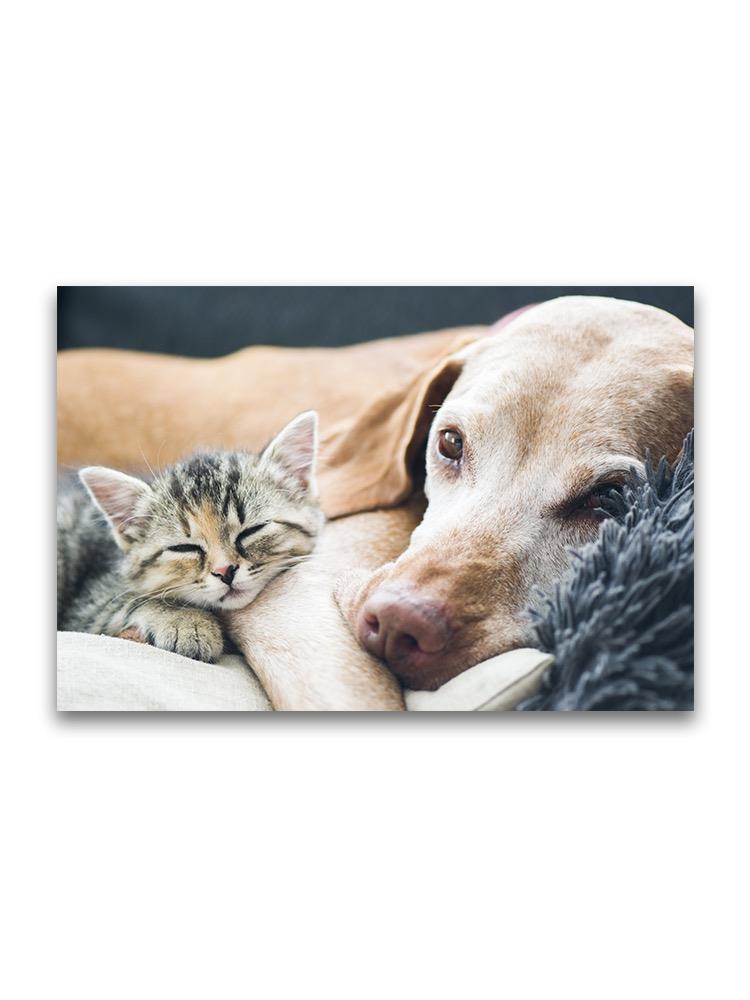 Adorable Pet Friends Resting Poster -Image by Shutterstock