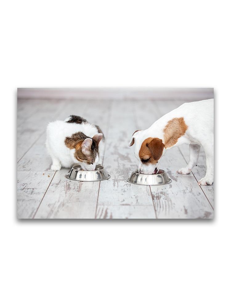 Pets Eating Next To Eachother Poster -Image by Shutterstock