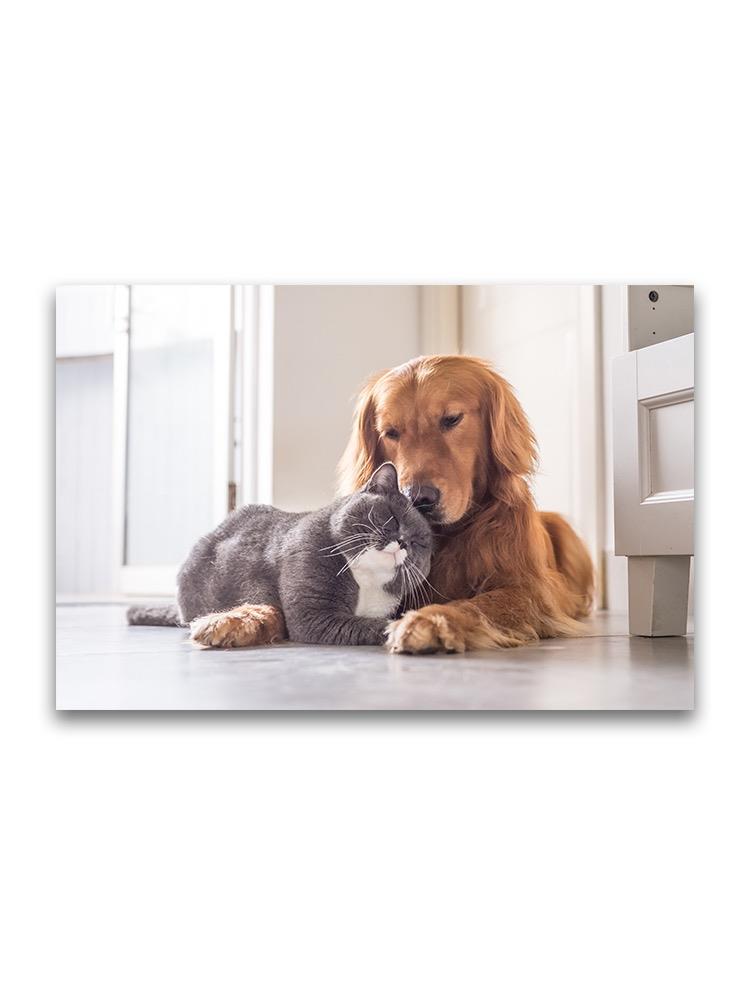 Loving House Pets Cat And Dog Poster -Image by Shutterstock