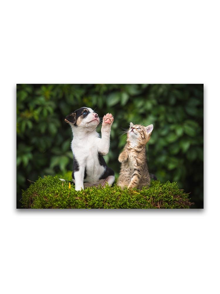 Puppy And Kitty Outdoors Poster -Image by Shutterstock