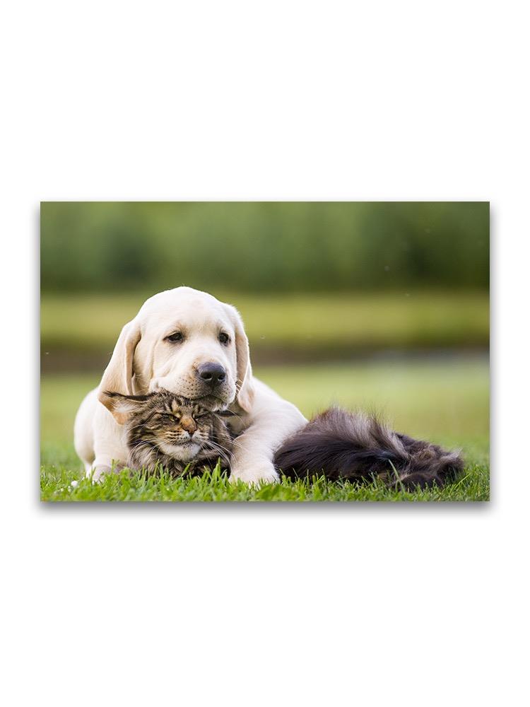 Pup And Cat Friendship Poster -Image by Shutterstock