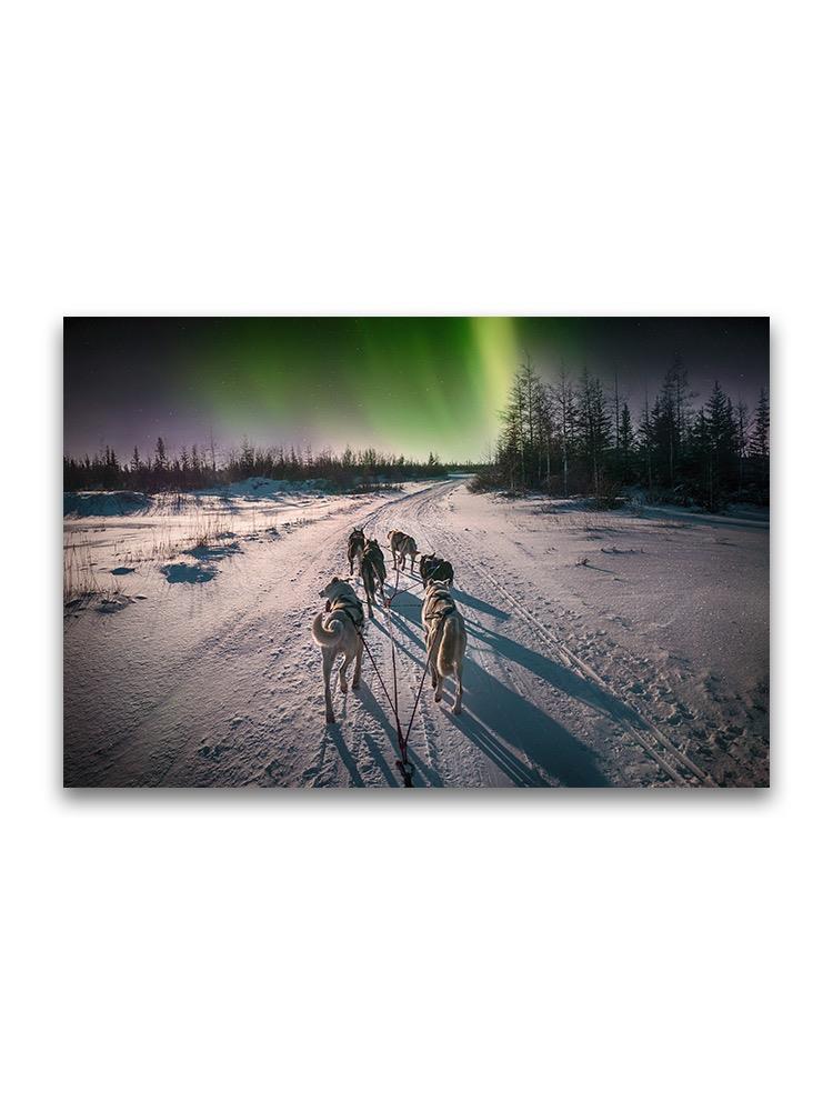 Husky Sled With Aurora Borealis Poster -Image by Shutterstock