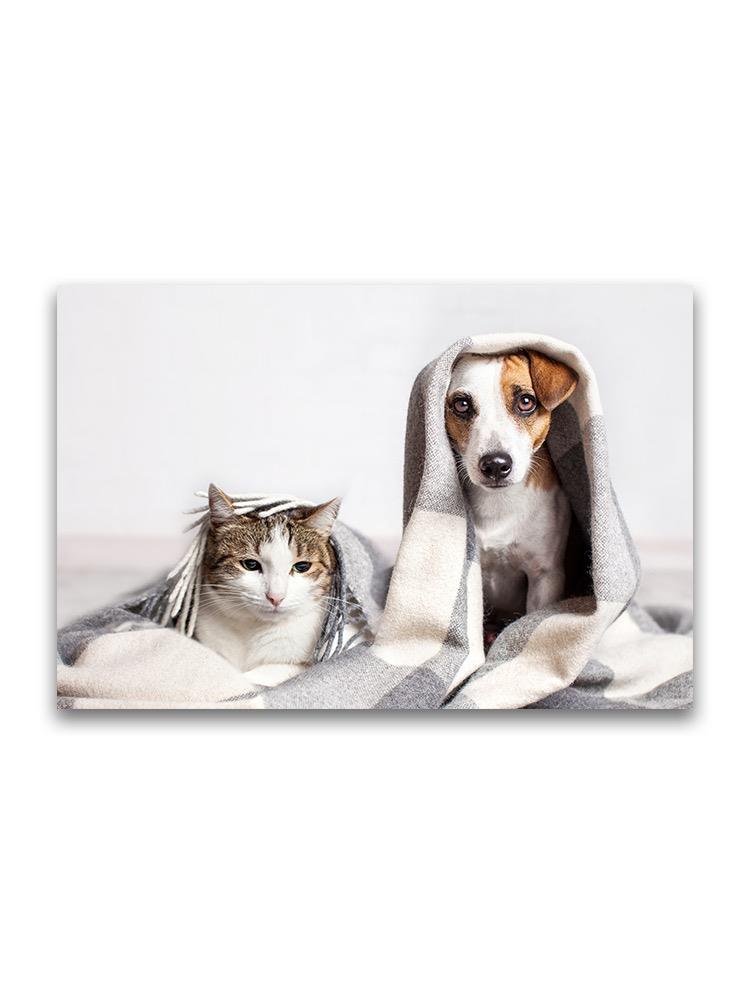Cute Pets Under Blanket  Poster -Image by Shutterstock