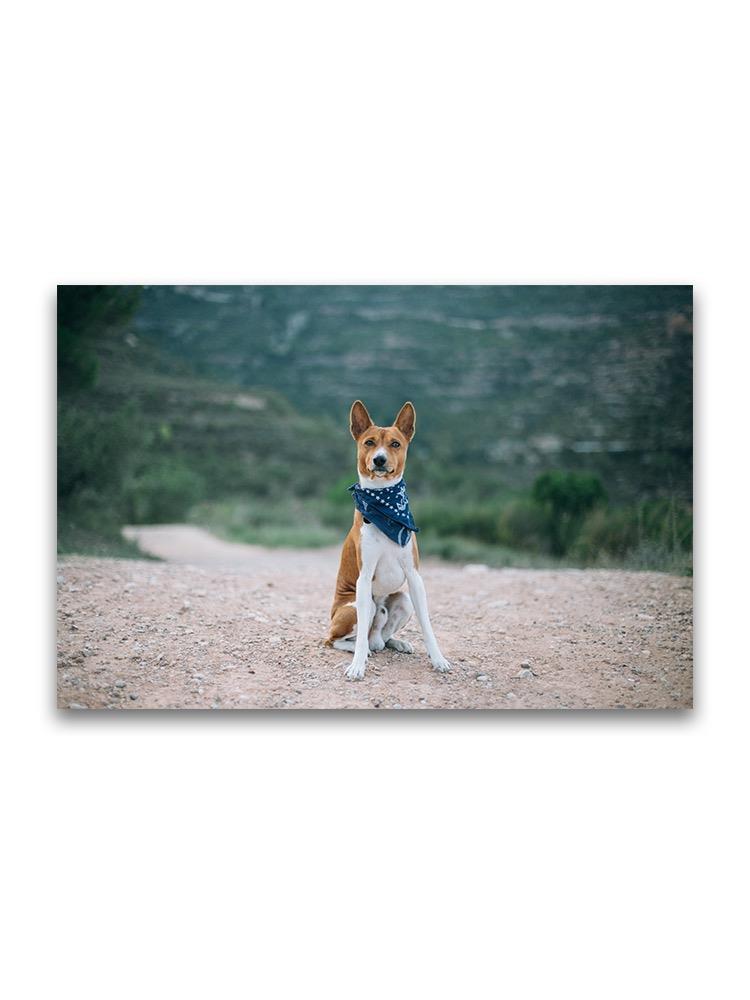 Basenji Dog With Kerchief Poster -Image by Shutterstock