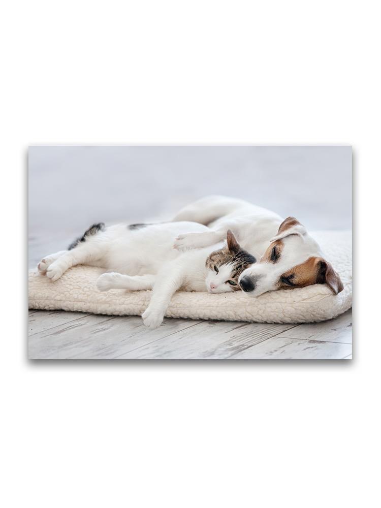 Cat And Dog Lying On Pillow Poster -Image by Shutterstock