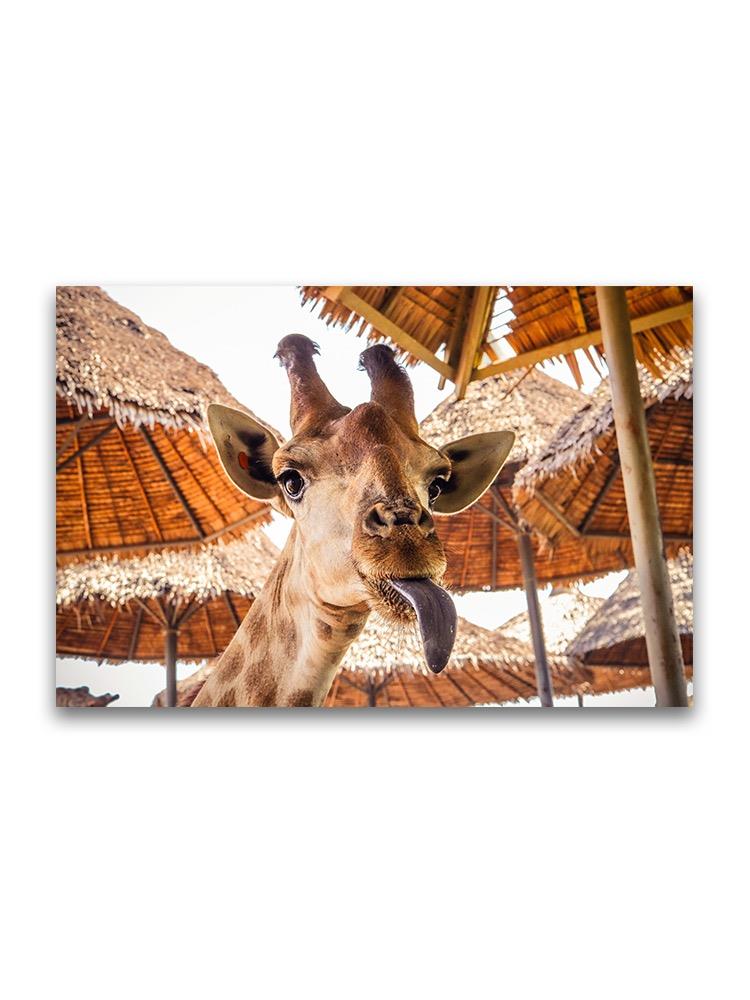 Funny Giraffe With Tongue Out Poster -Image by Shutterstock