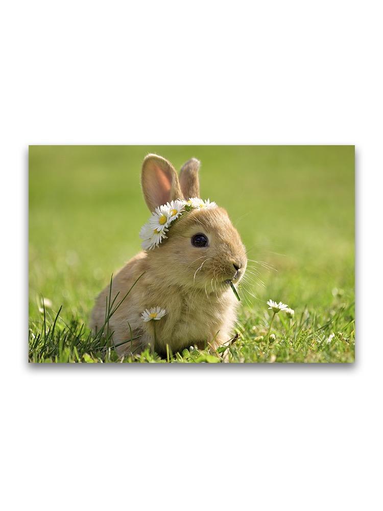 Adorable Bunny With Flowers Poster -Image by Shutterstock