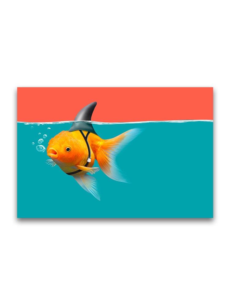Funny Goldfish With Shark Fin Poster -Image by Shutterstock