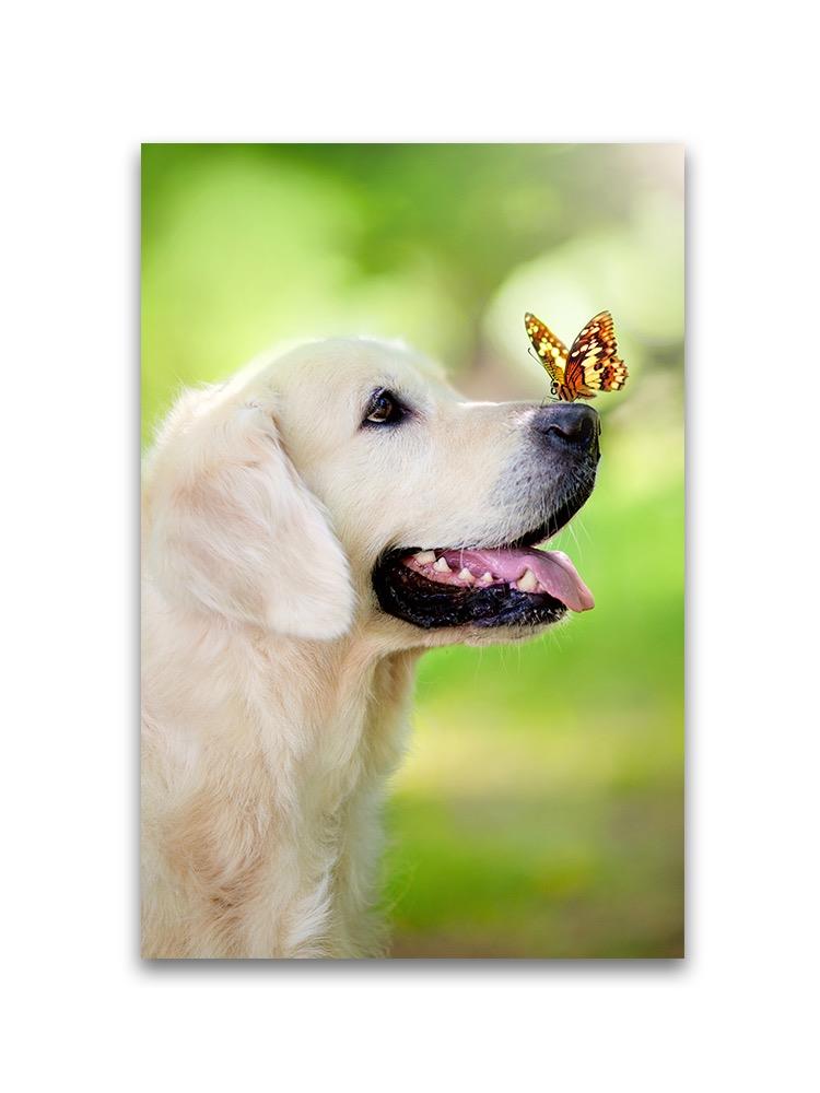 Golden Retiever With Butterfly Poster -Image by Shutterstock