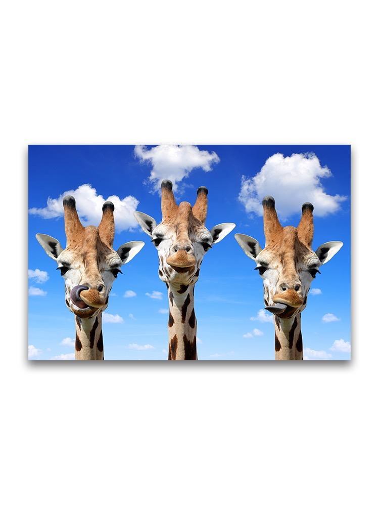 Amazing Portrait Of Giraffes  Poster -Image by Shutterstock