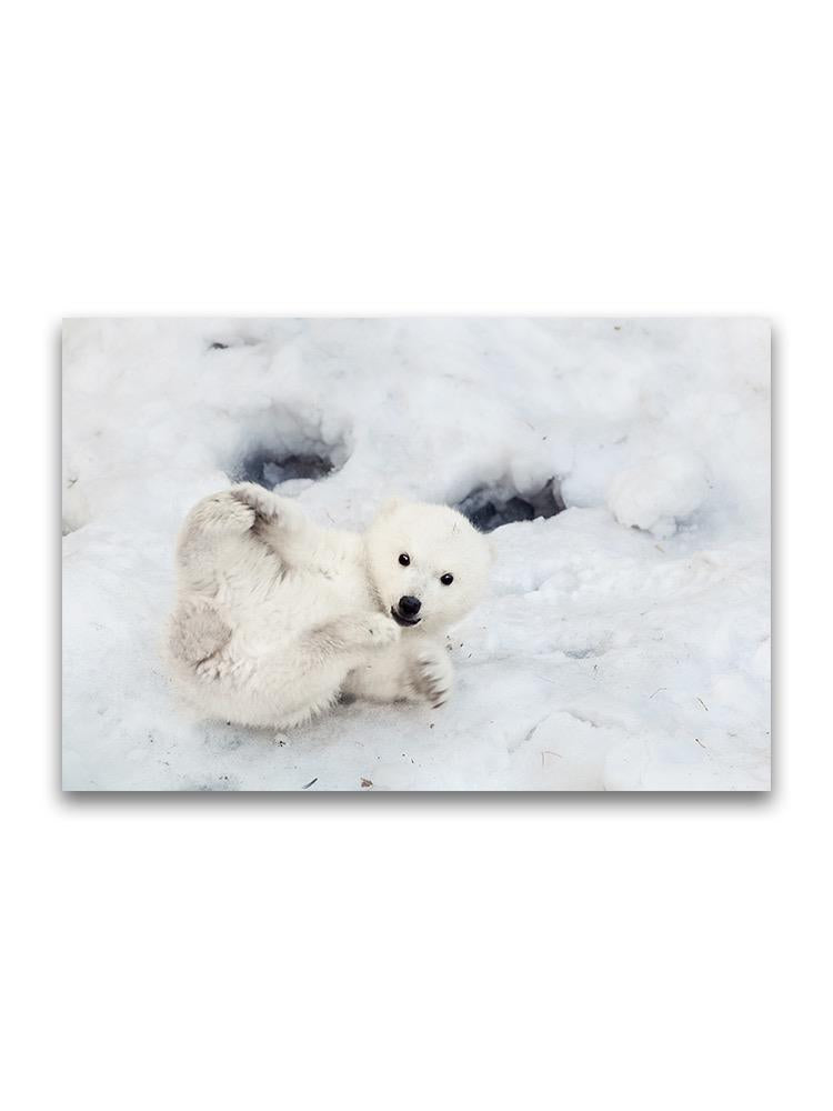 Polar Bear Playing In The Snow Poster -Image by Shutterstock