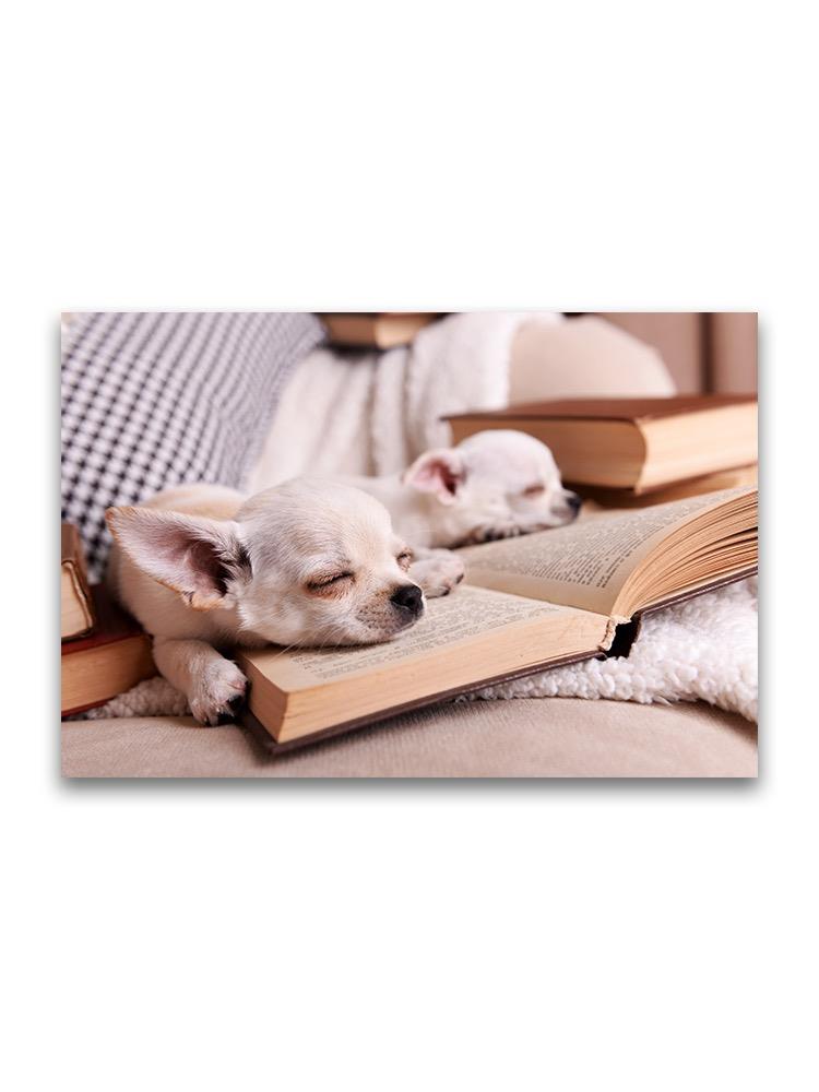 Sleepy Chihuahua Dogs On Books Poster -Image by Shutterstock