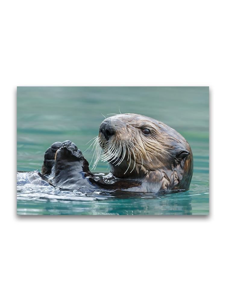 Close Up Portrait Of Sea Otter Poster -Image by Shutterstock