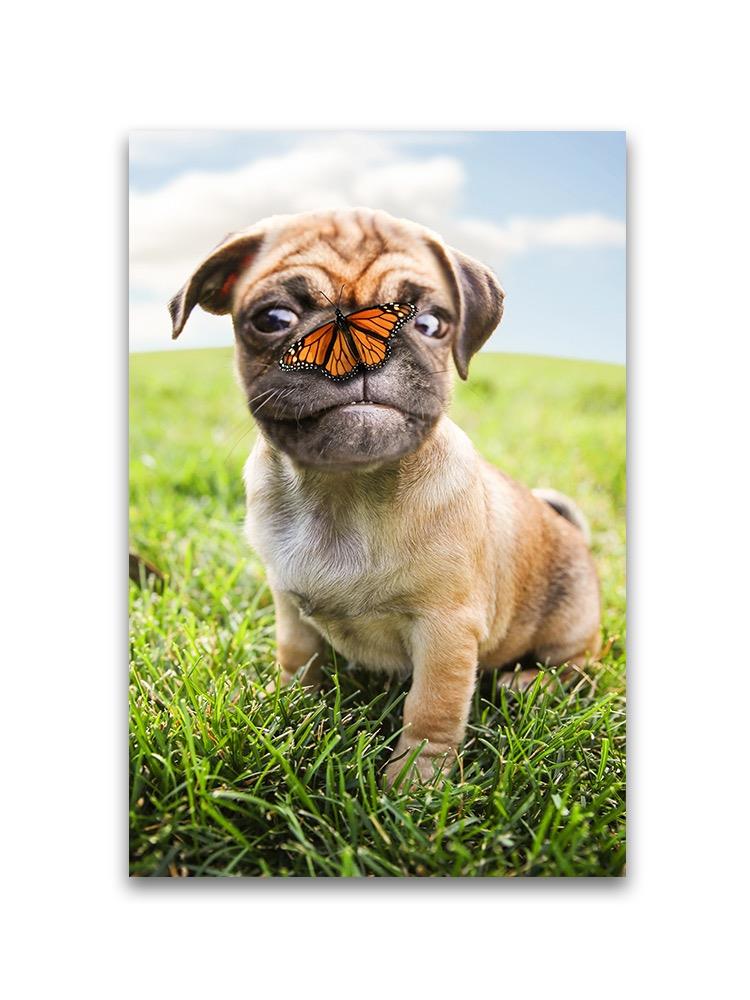 Adorable Pug With Butterfly  Poster -Image by Shutterstock