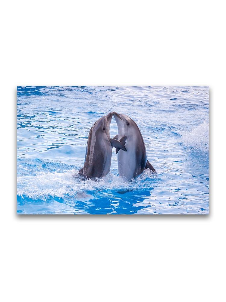 Cute Dolphins Hugging Poster -Image by Shutterstock