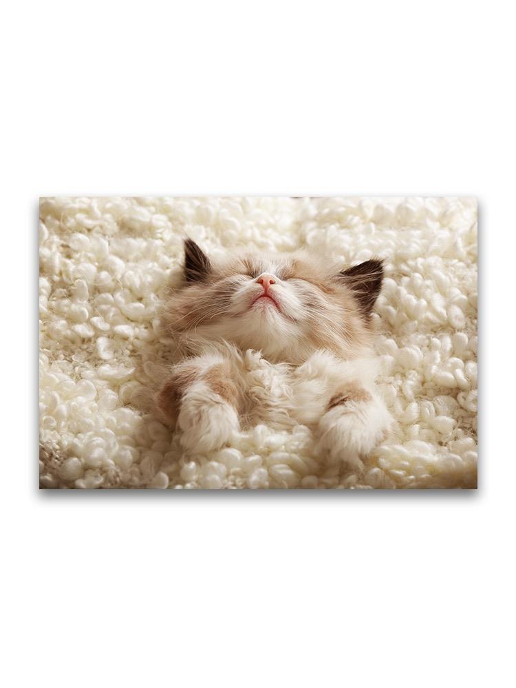 Adorable Sleeping Cozy Kitty Poster -Image by Shutterstock