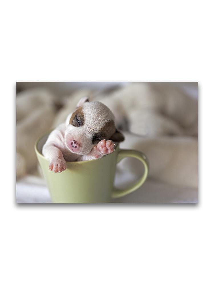 Tiny Jack Russell Dog In Mug  Poster -Image by Shutterstock