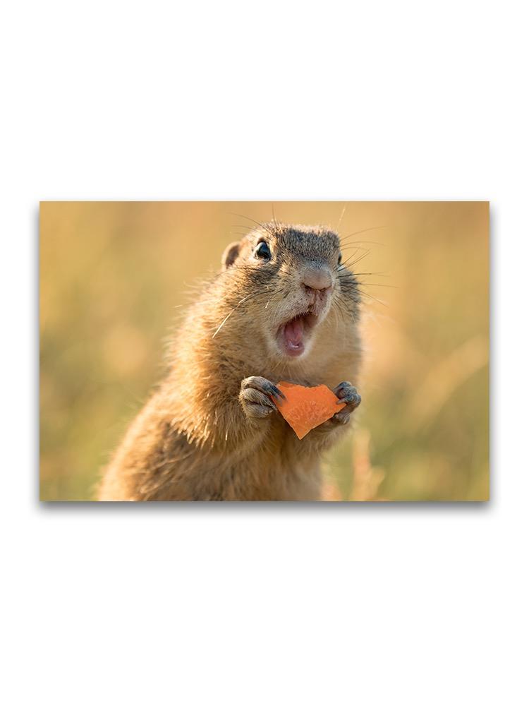 Cute Ground Squirrel Eating  Poster -Image by Shutterstock