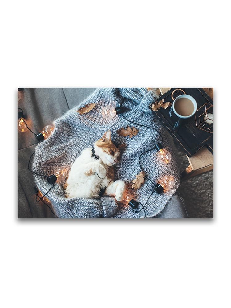 Cat Sleeping On Sweater  Poster -Image by Shutterstock
