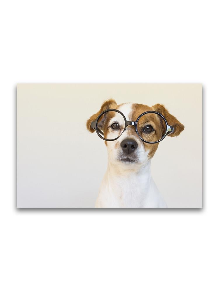 Smart Dog With Glasses Poster -Image by Shutterstock