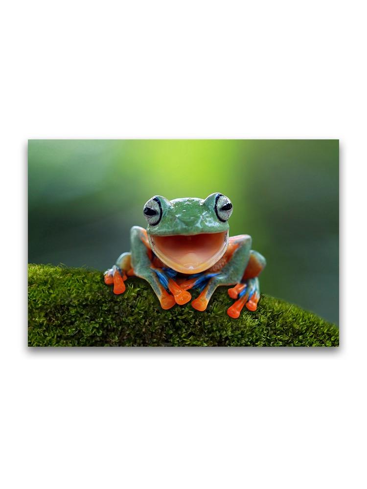 Funny Joyful Tree Frog Poster -Image by Shutterstock