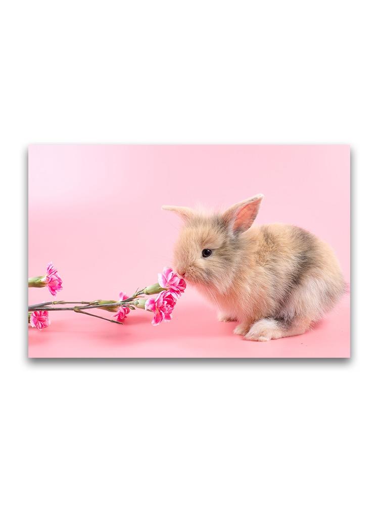 Lovely Bunny Smelling Flowers Poster -Image by Shutterstock