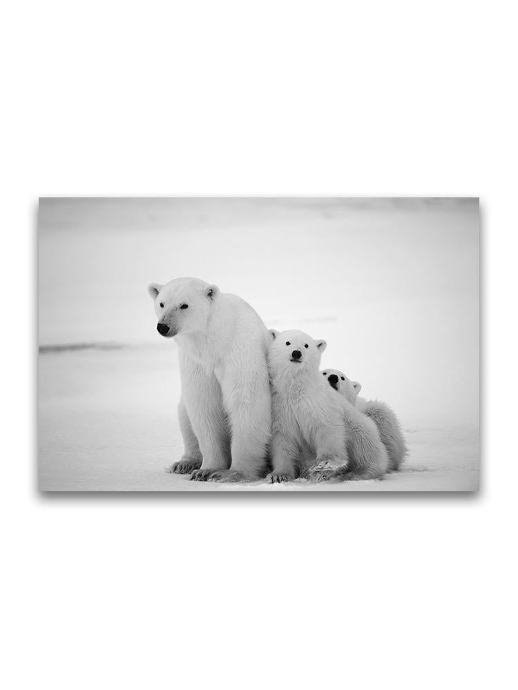 Mothe Rpolar Bear And Cubs Poster -Image by Shutterstock