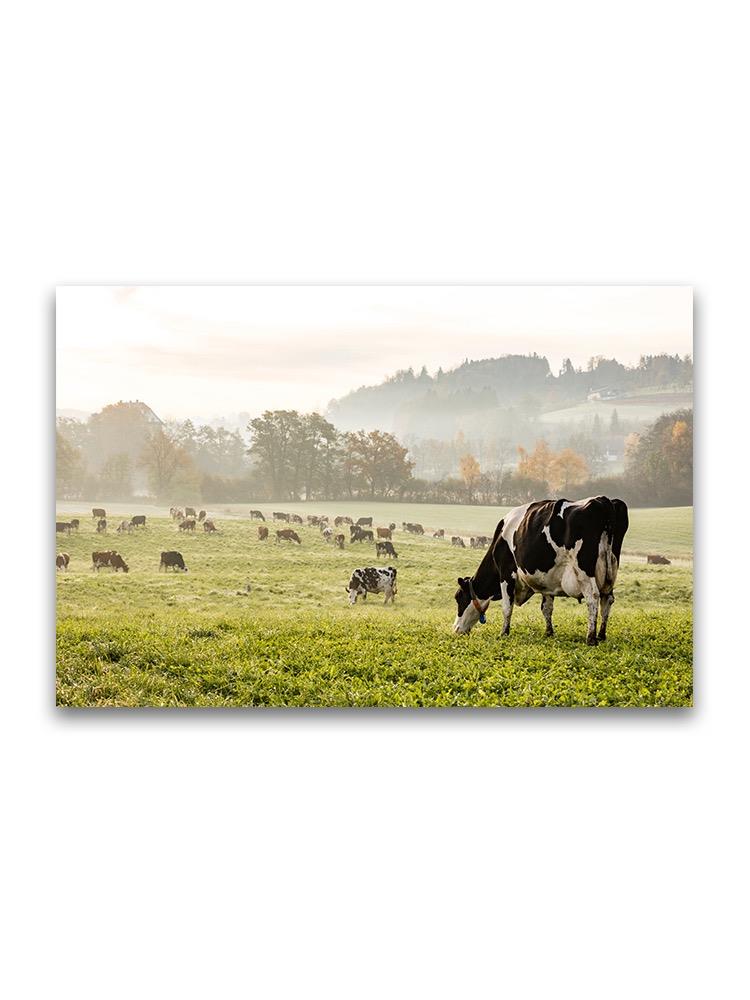 Beautiful Cow Field Scenery Poster -Image by Shutterstock