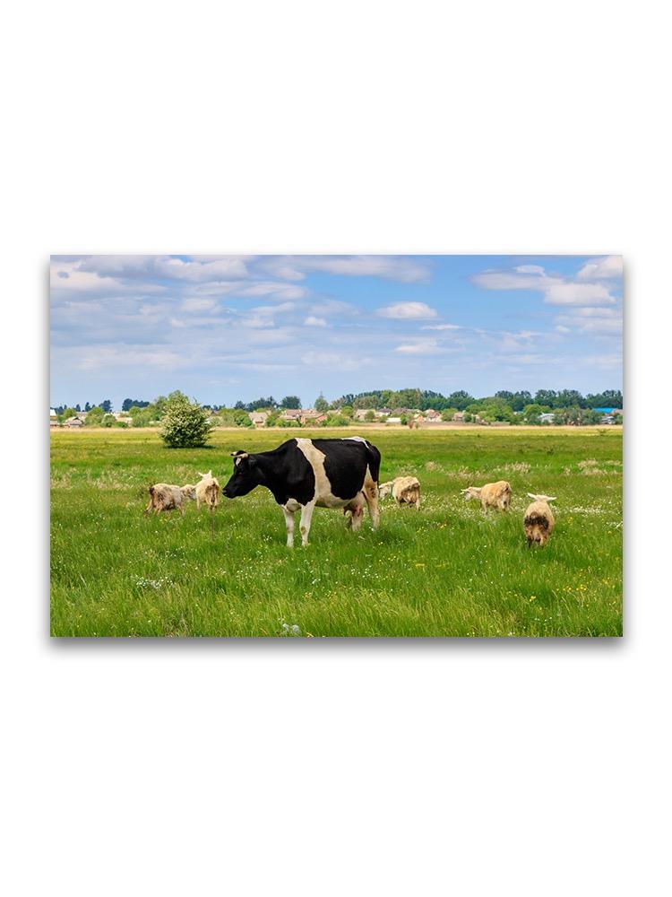 Cow And Herd Of Sheep In Meadow Poster -Image by Shutterstock
