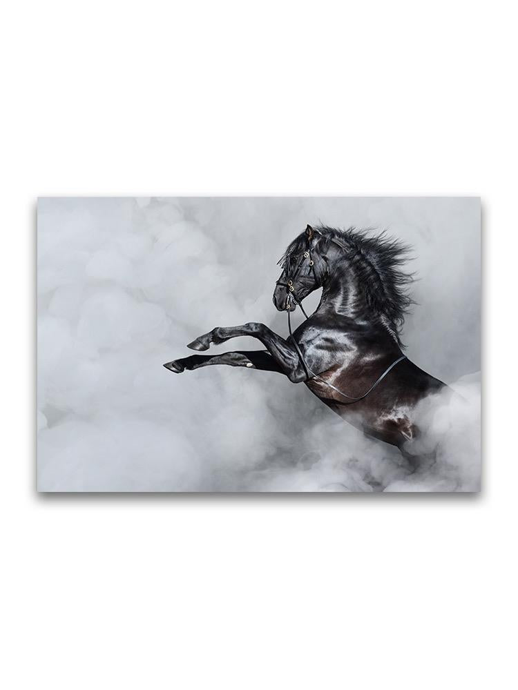 Incredible Black Spanish Horse Poster -Image by Shutterstock