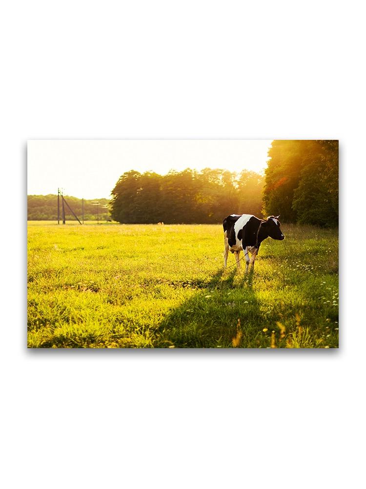 Holstein Cow On Grass Field Poster -Image by Shutterstock