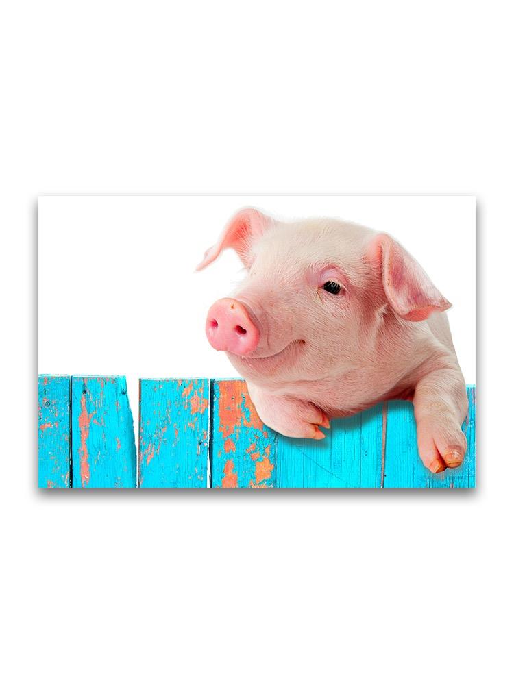 Funny Pig Hanging On Wall Poster -Image by Shutterstock