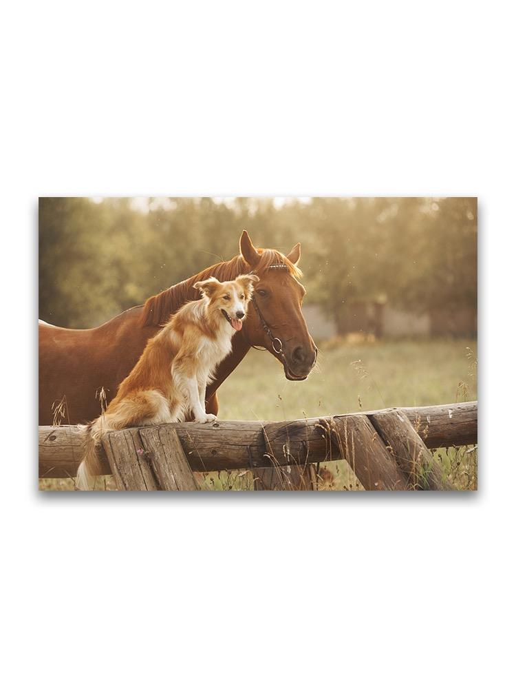 Collie Dog And Horse At Sunset Poster -Image by Shutterstock