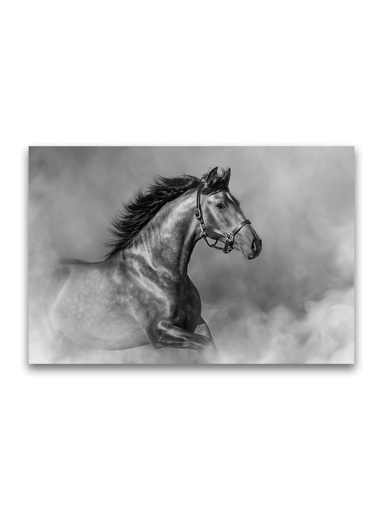Horse Running In Mist Poster -Image by Shutterstock