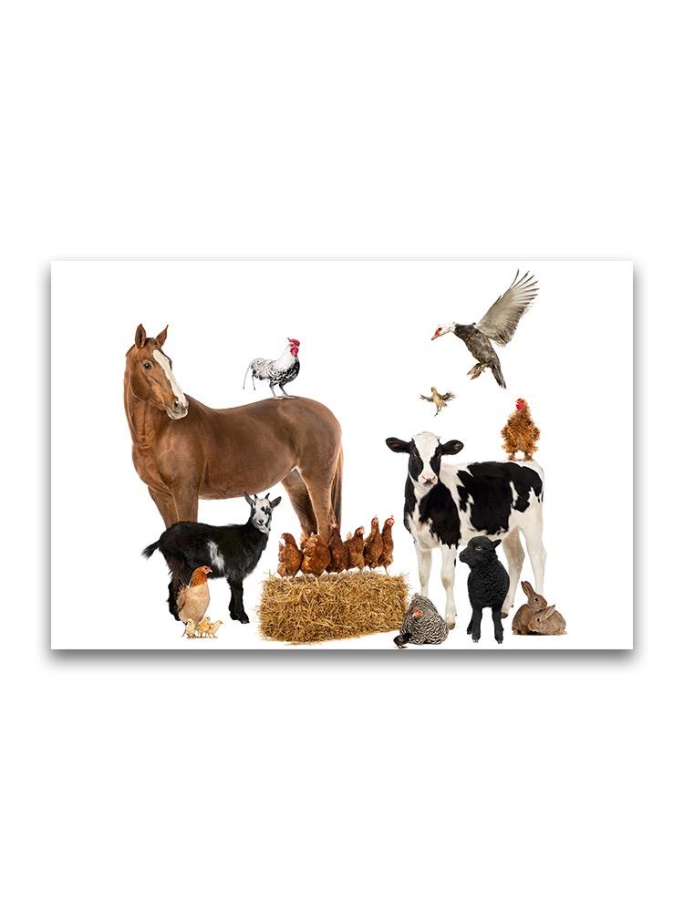 Collage Of Farm Animals Poster -Image by Shutterstock